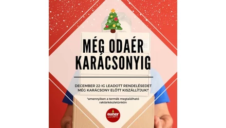 Dec. 22-ig leadott rendelésed MÉG ODAÉR KARÁCSONYIG!